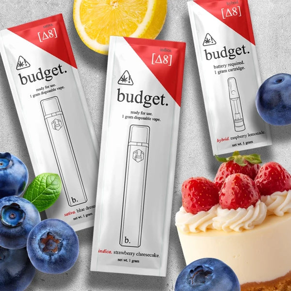 Budget 1g 30ct Disposable