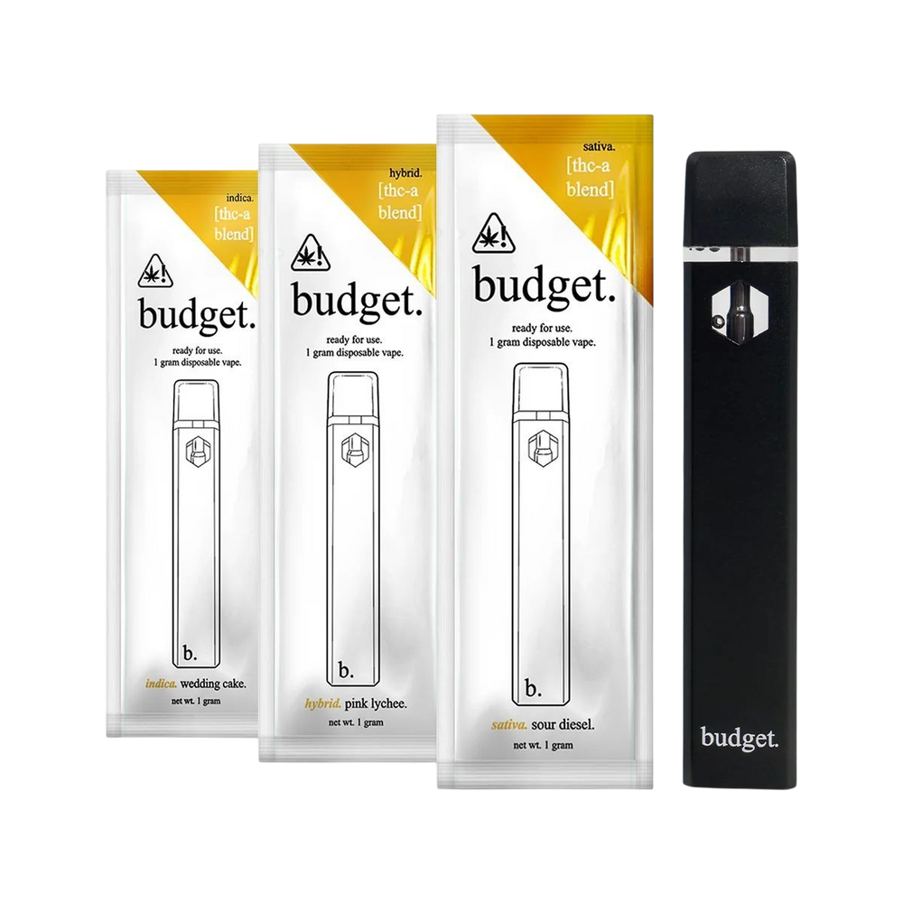 budget. 30ct 3 Flavor Packs 1g Disposable