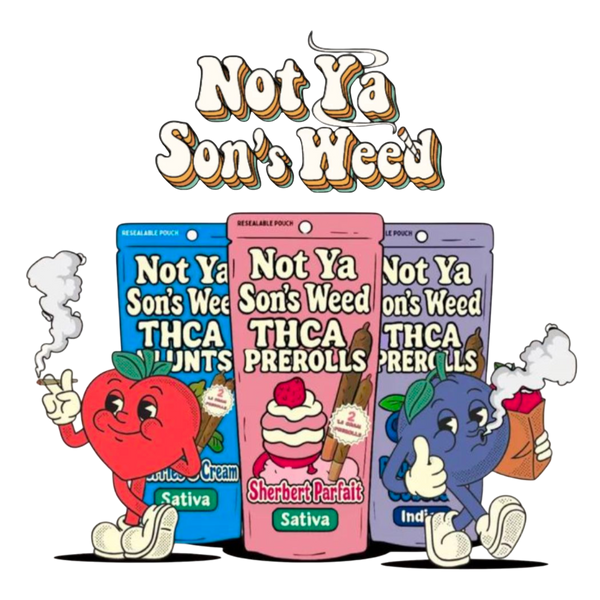 NOT YA SONS WEED 1.5G 2PK 10CT THCA Pre Roll Blunts